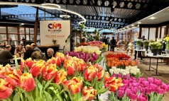 News image: Het CNB event van het jaar bloeit altijd!